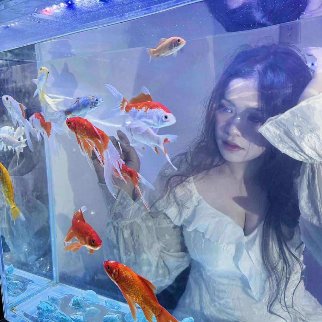 奶绿装芒