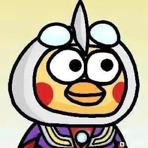 冬瓜和花海