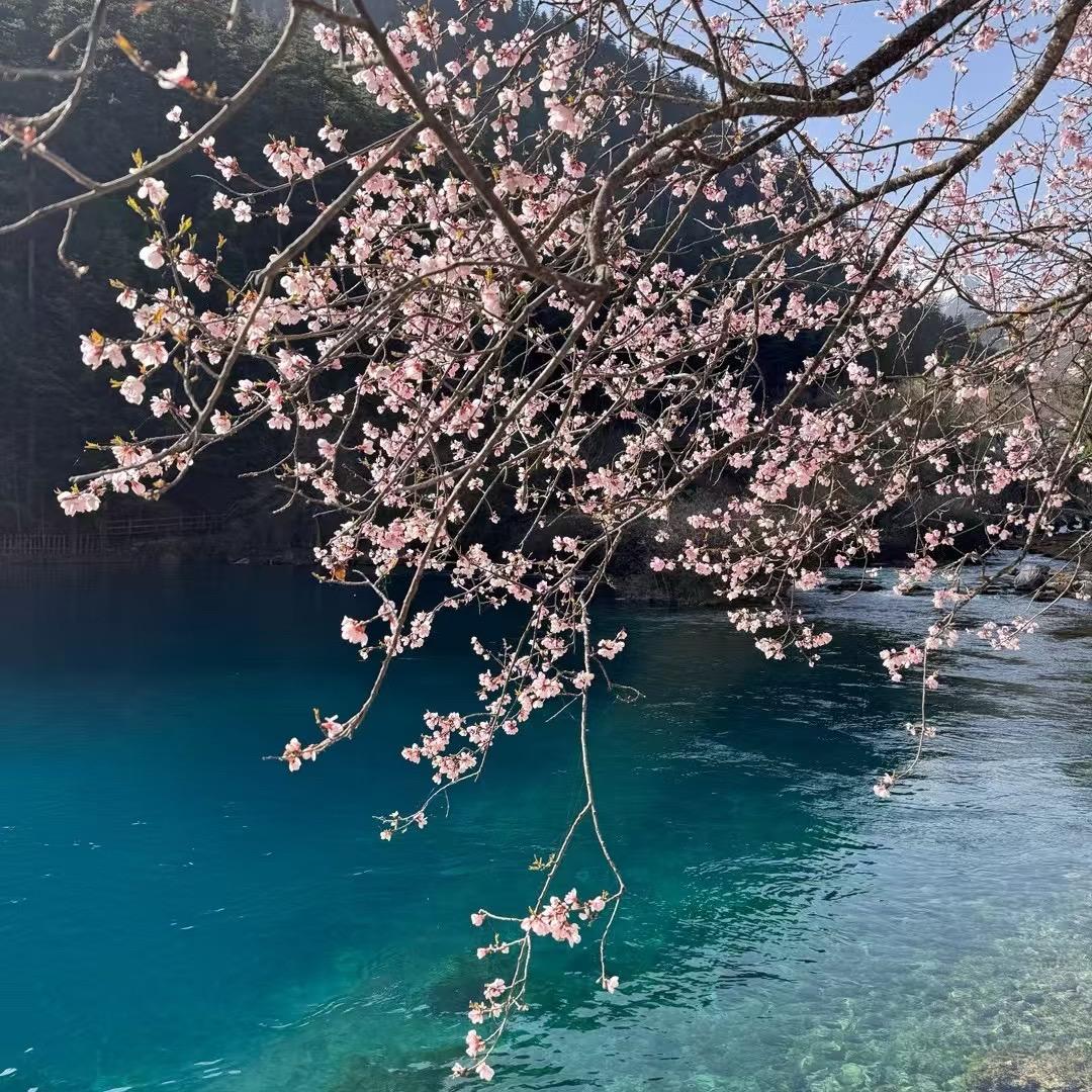 小陈杂货铺😊