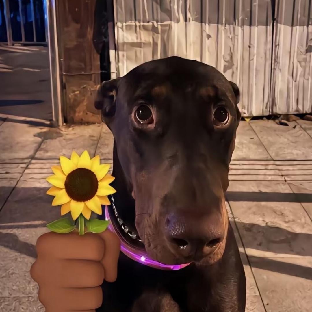 遇事不决先睡觉