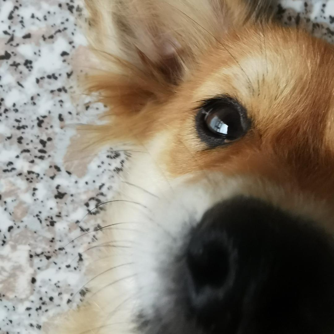 今天也开心 ( ੭ ˙ᗜ˙ )੭