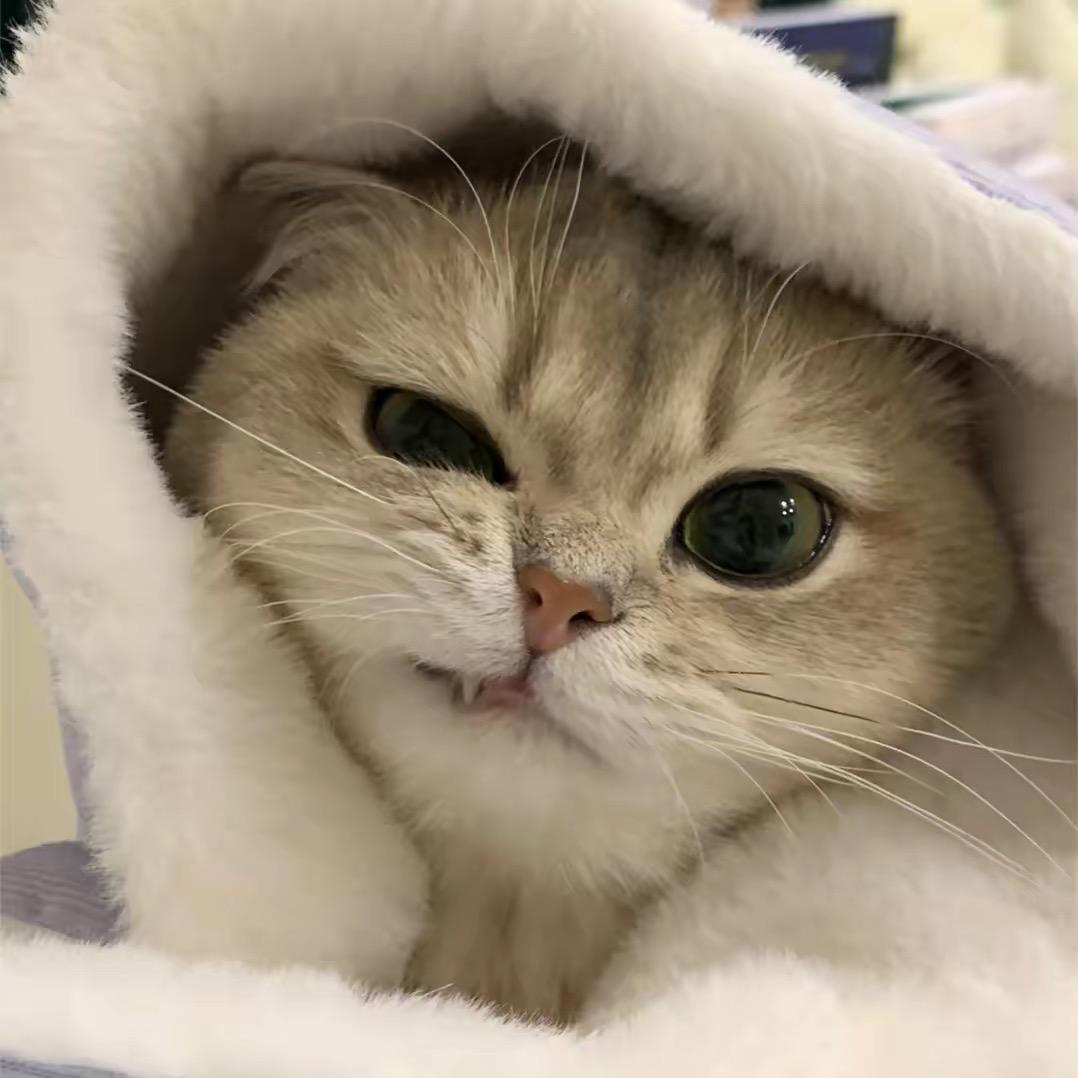 把智写进诗尾