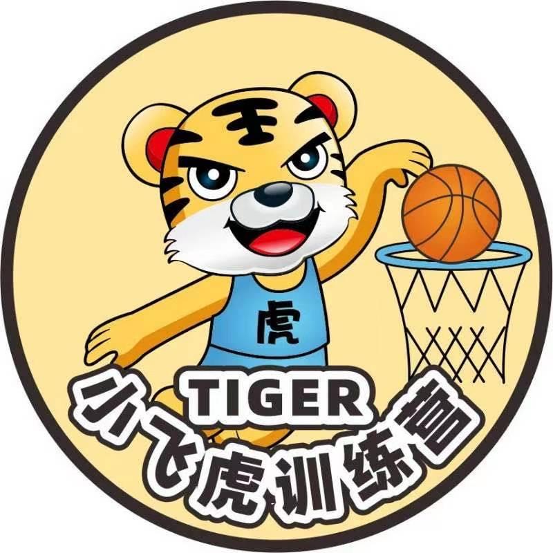 小飞虎训练营德俊飞虎云篮球主题音乐美食广场