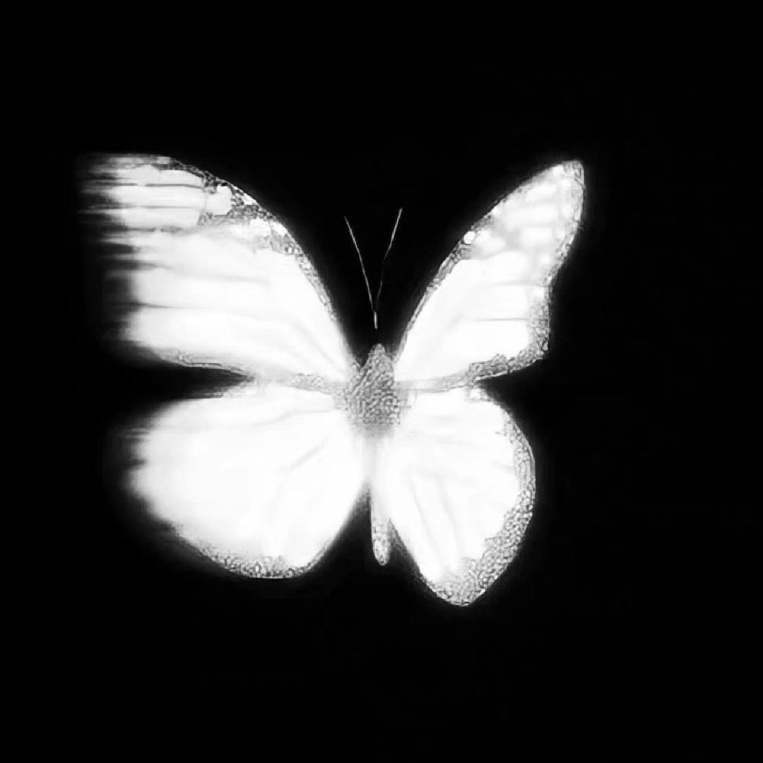 Dream_demo