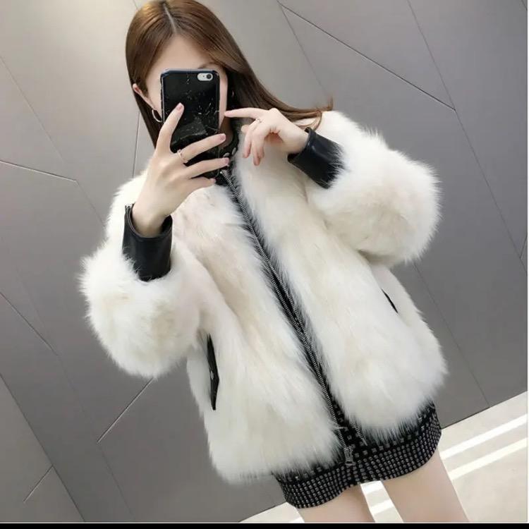 小白鱼