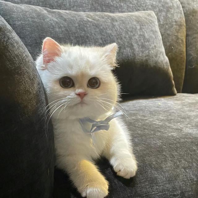 Bubblebubu