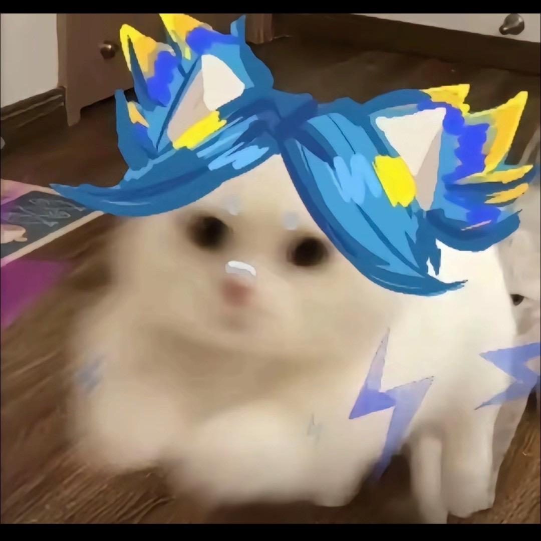 小脏包（杰驰电竞）