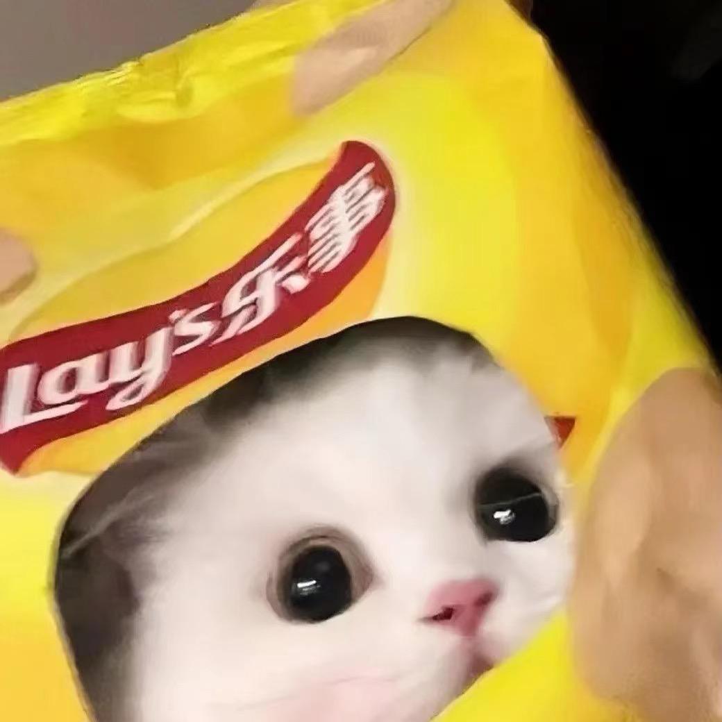 全世界最聪明的Jxr