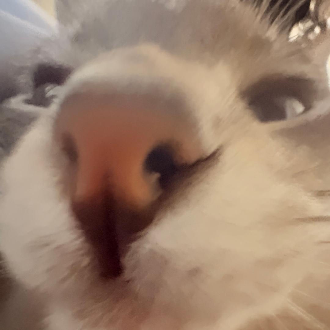 紜鎖淚