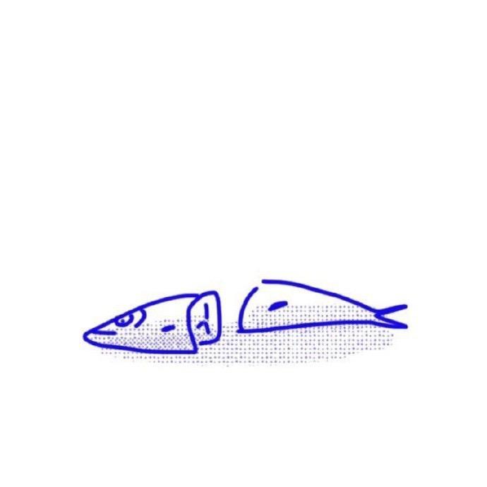 梓鸢Zy-