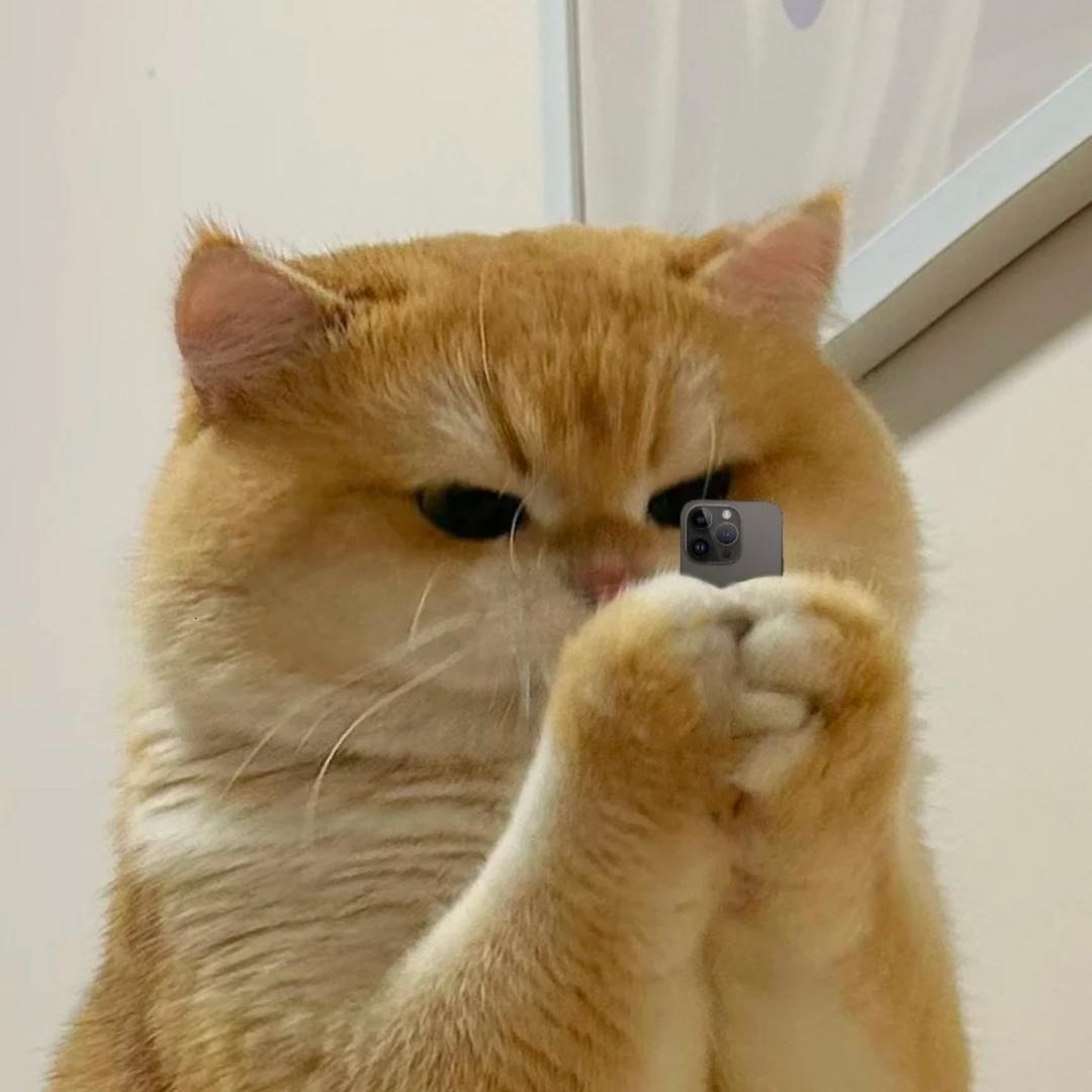 去码头整点🍟