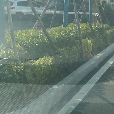 一诺外贸
