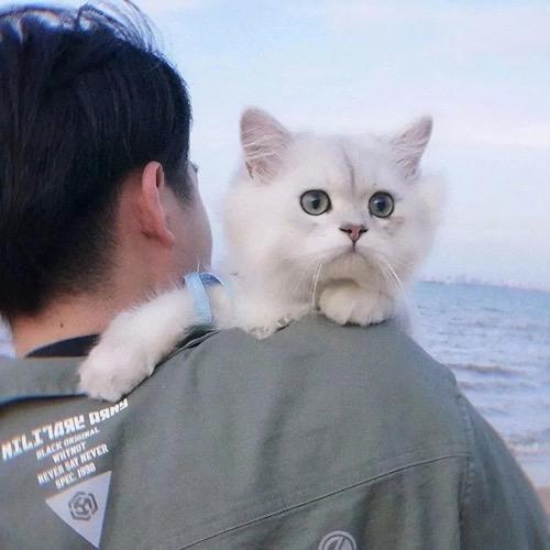 ℘叶秋࿐ᩚ