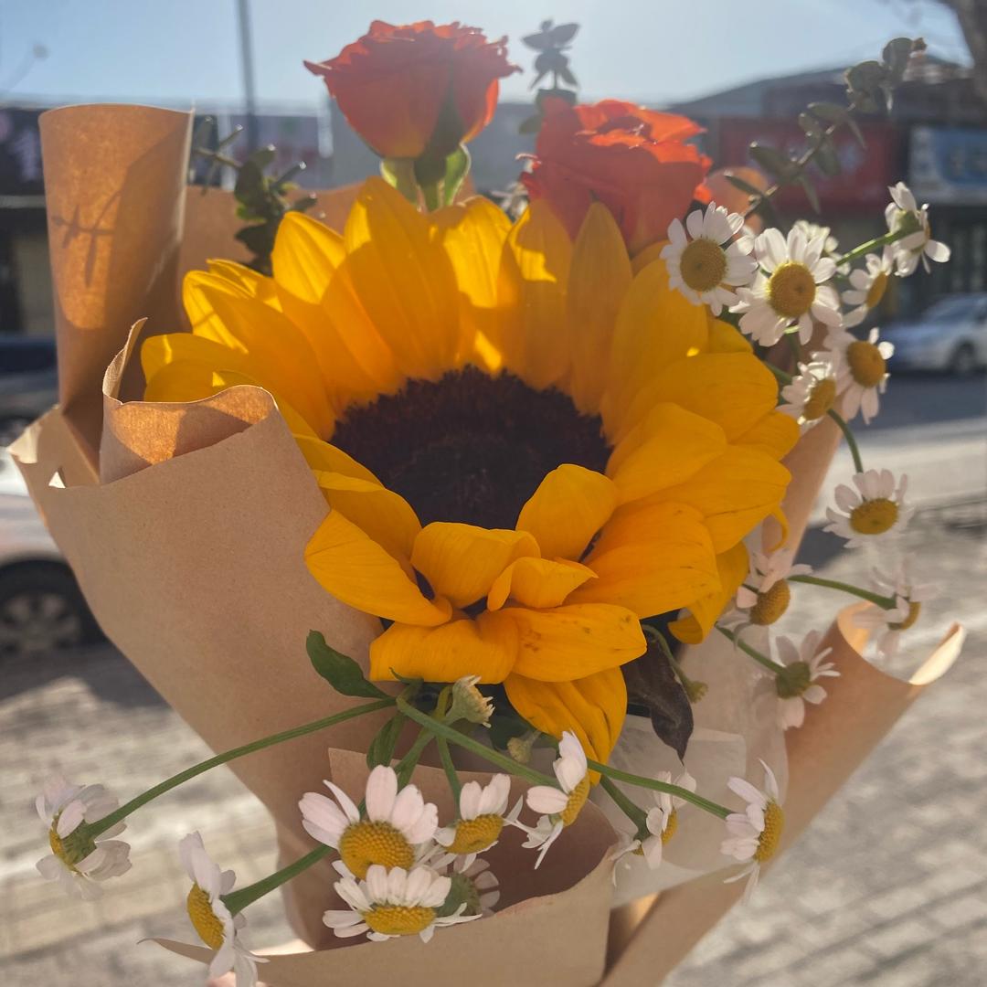 曲阜中公-上岸小助理