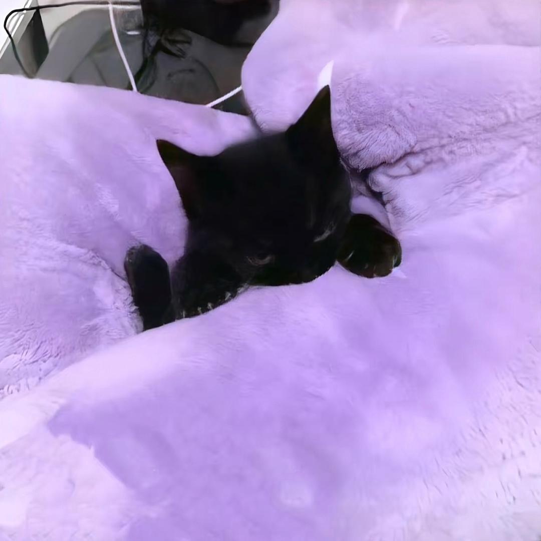 瓜苦吃不