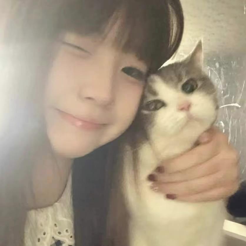 讨厌周二