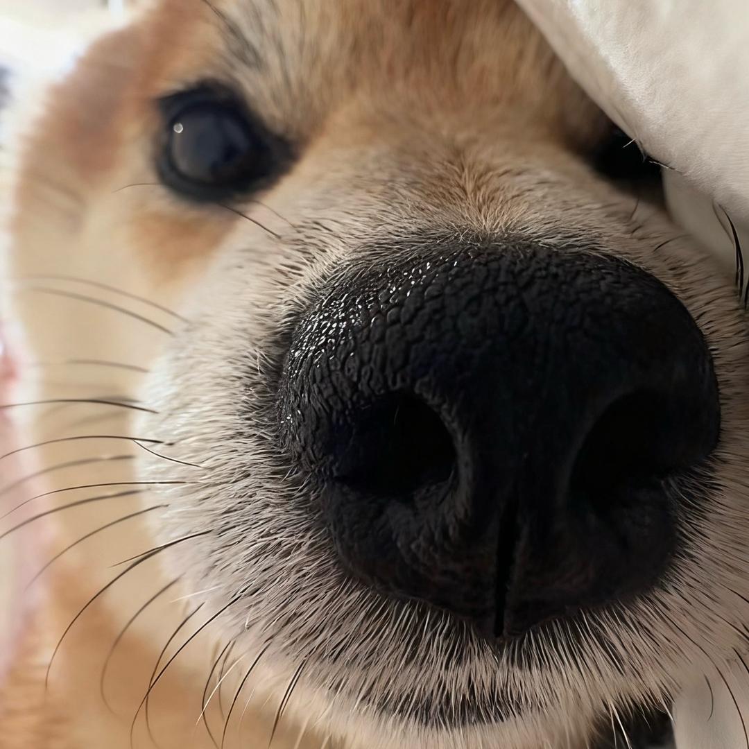 一缕微光
