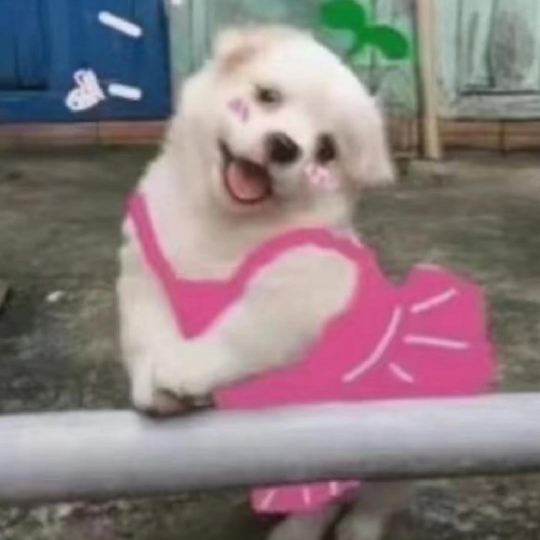 旺仔小馒头