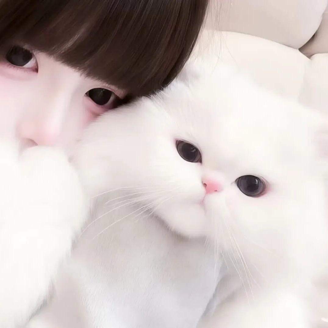 想睡个好觉4