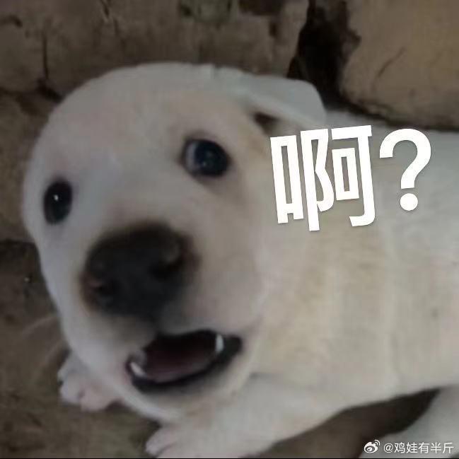 Zaffiro瑞恩