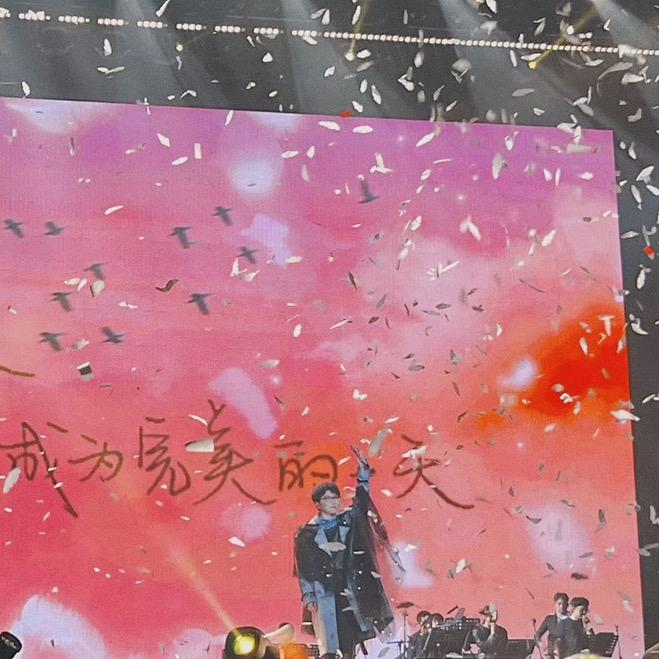 木耳不想努力了