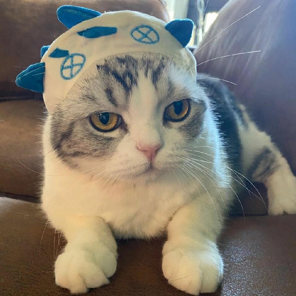 吐个小槽