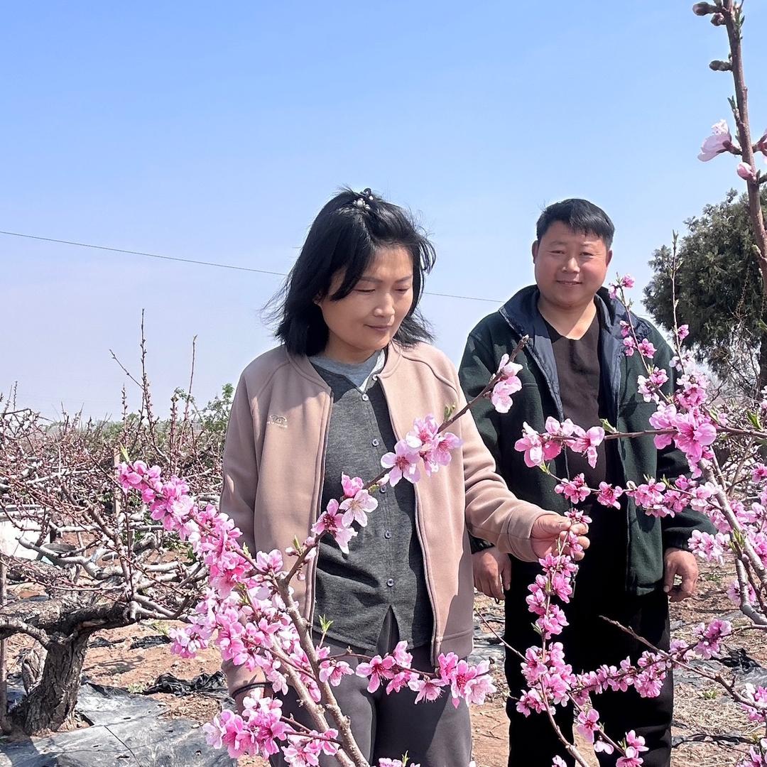 大周小李的农村生活