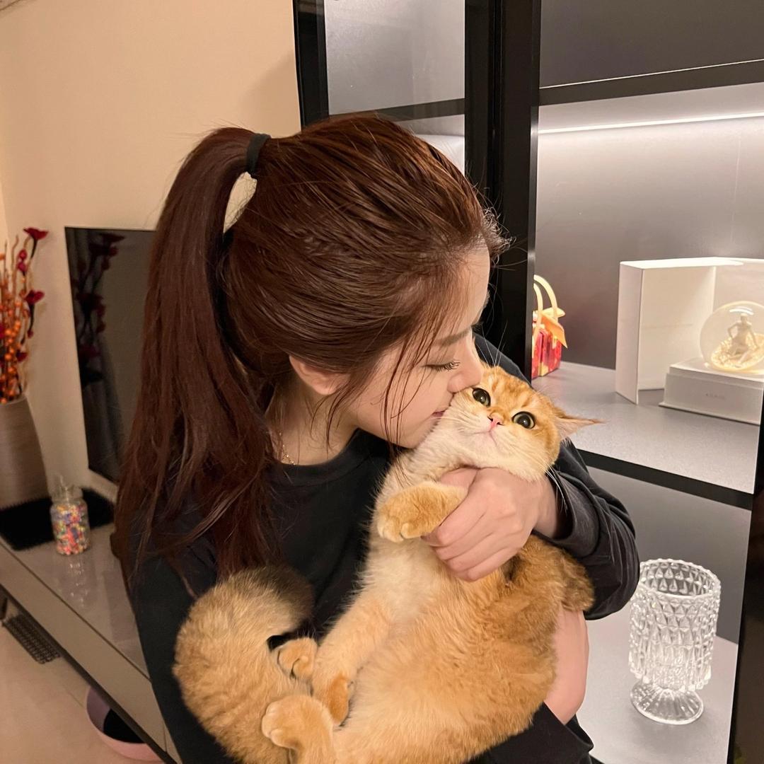 .有点猫饼