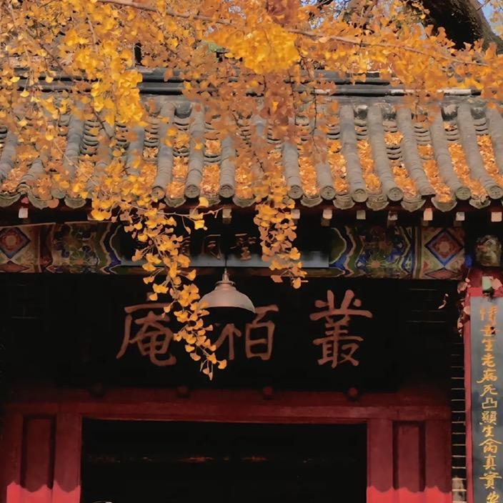 ᭄ℳ๓ 一介俗人°ꦿ⁵