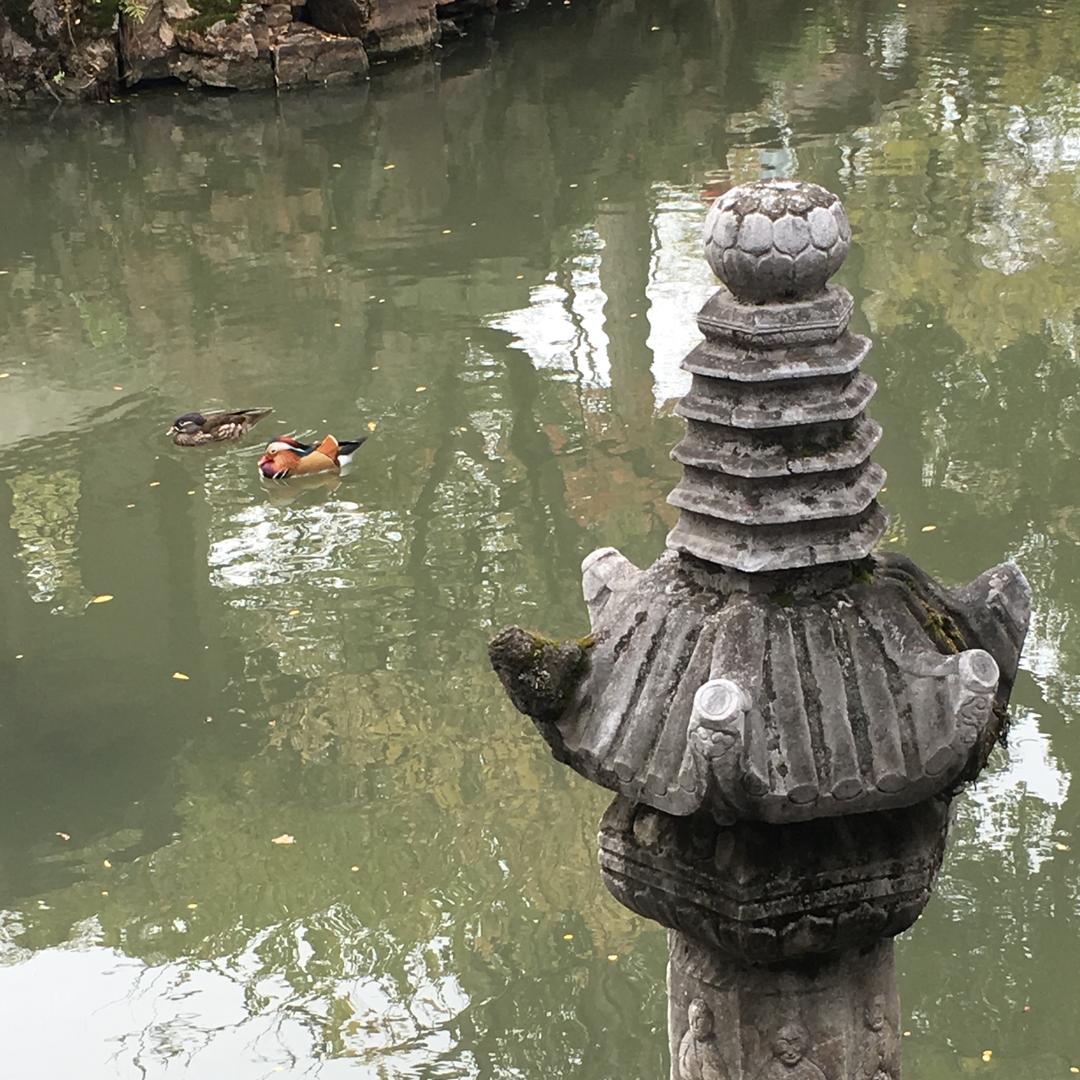 天下一家生活分享