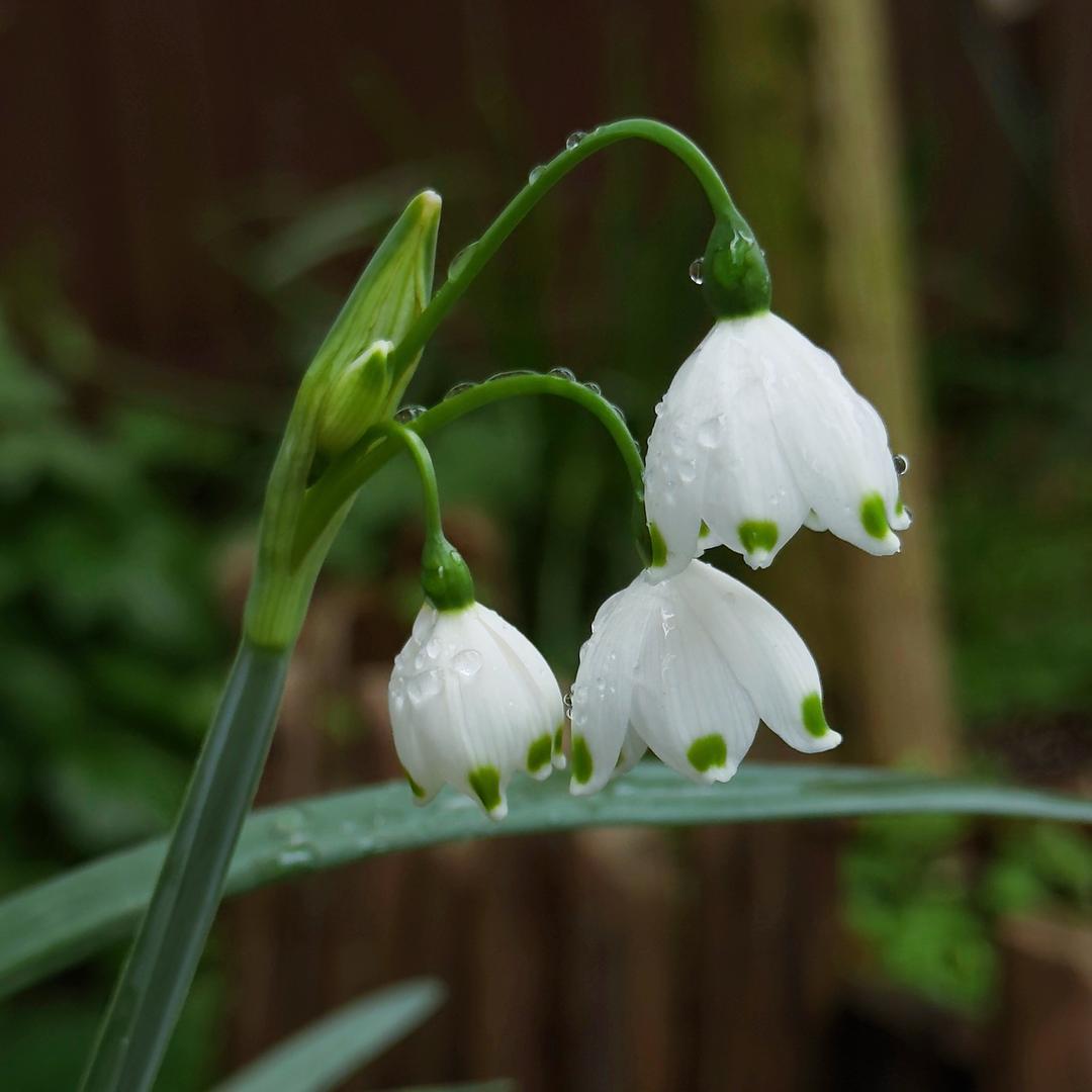 Россия京京🎄❄️🍓