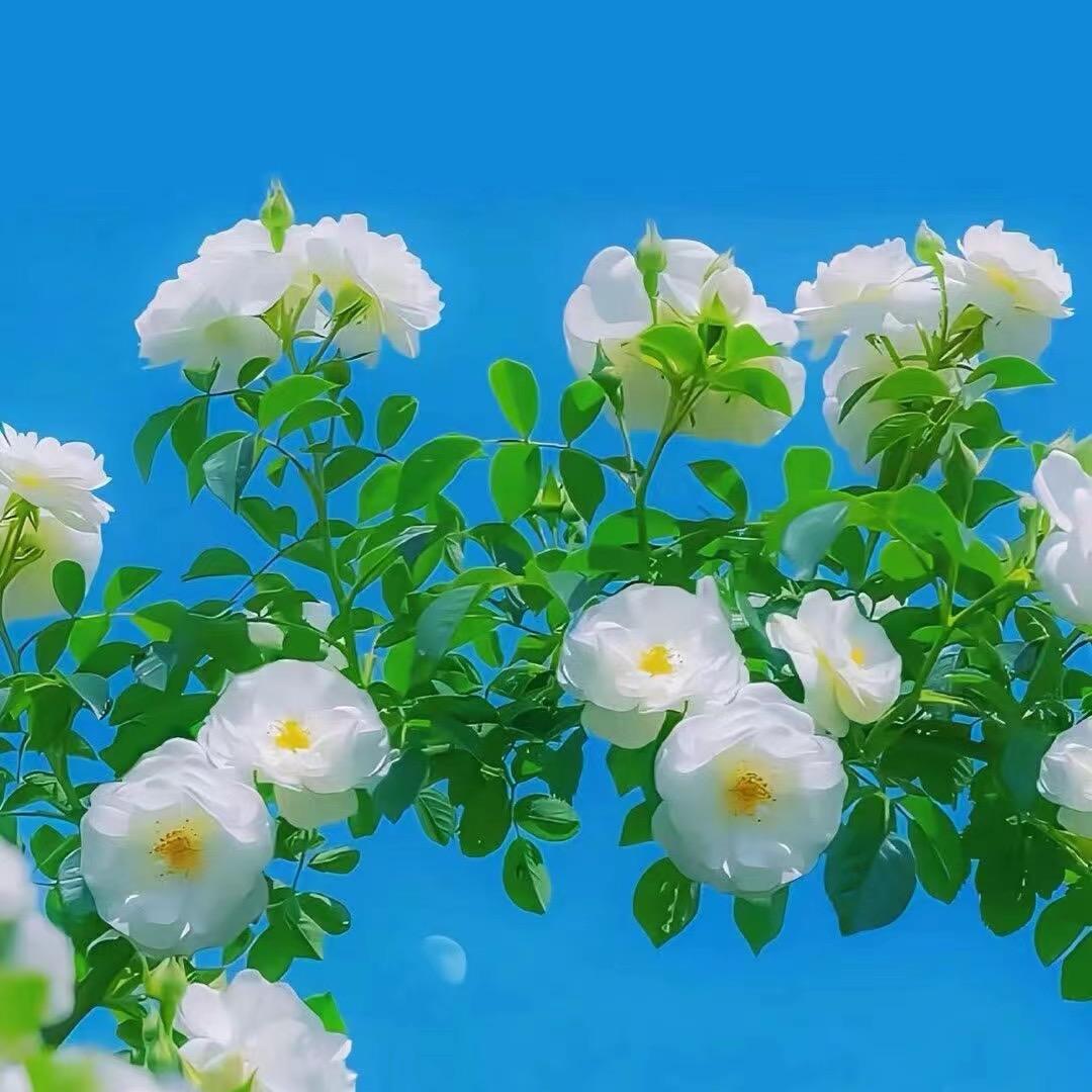 生活总是一团糟