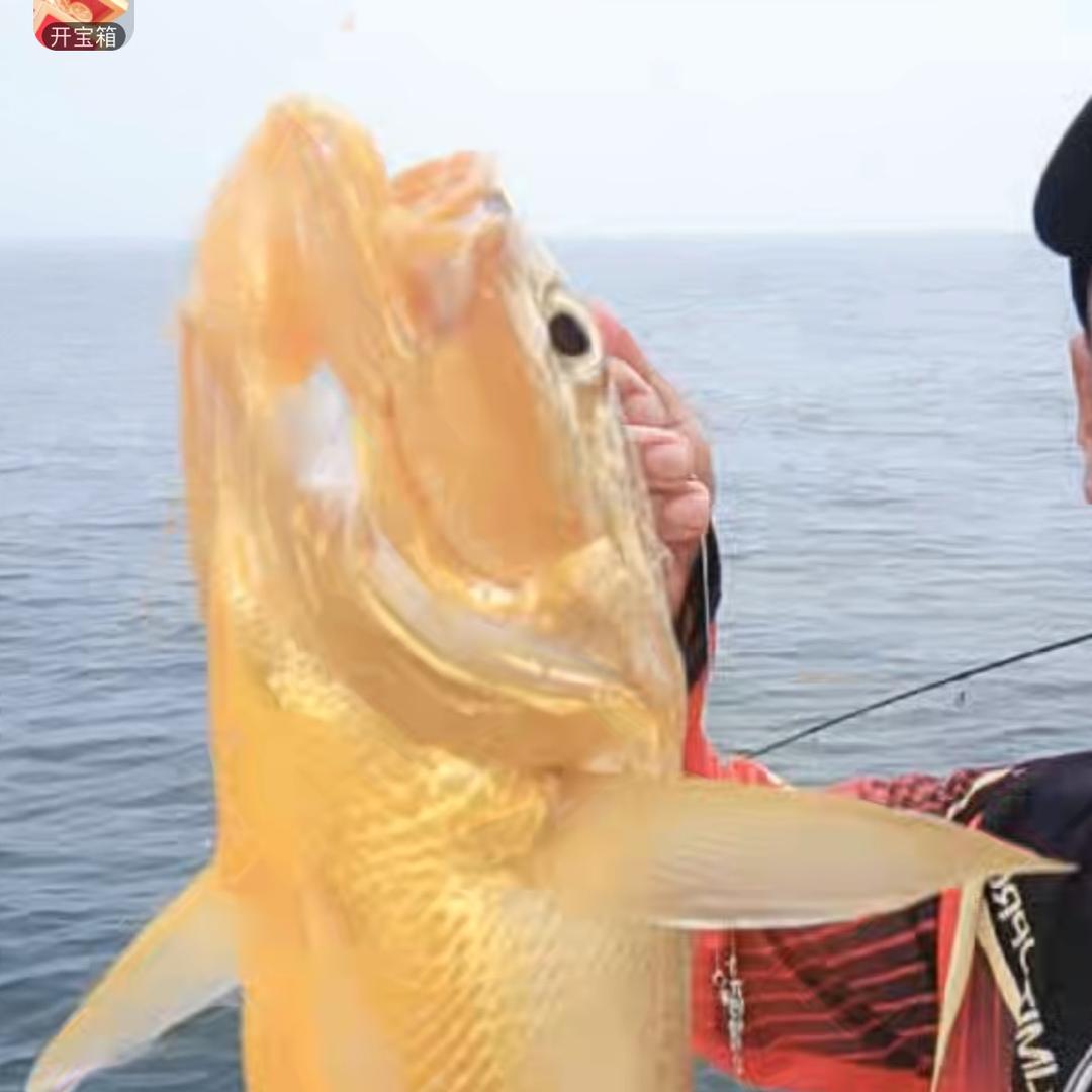 铁锅岁月地锅鸡(伯赞路店)官方号