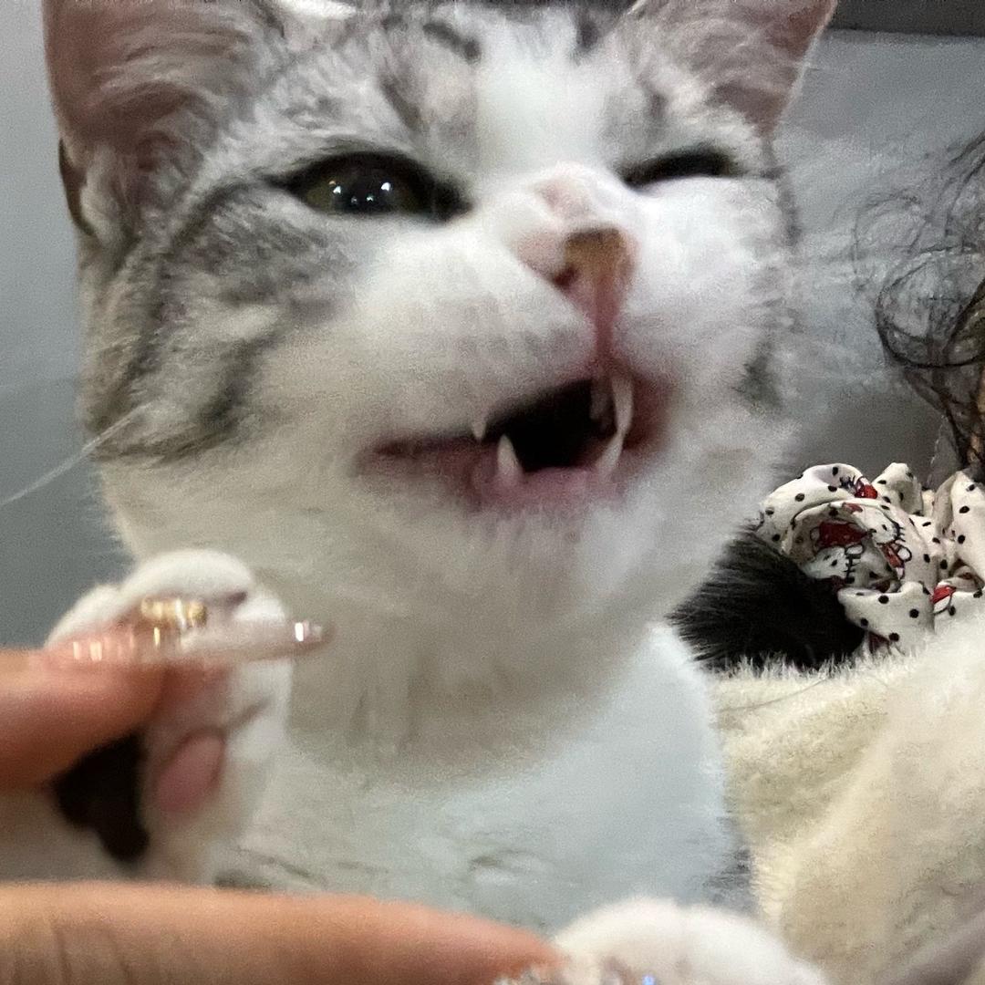 王一月