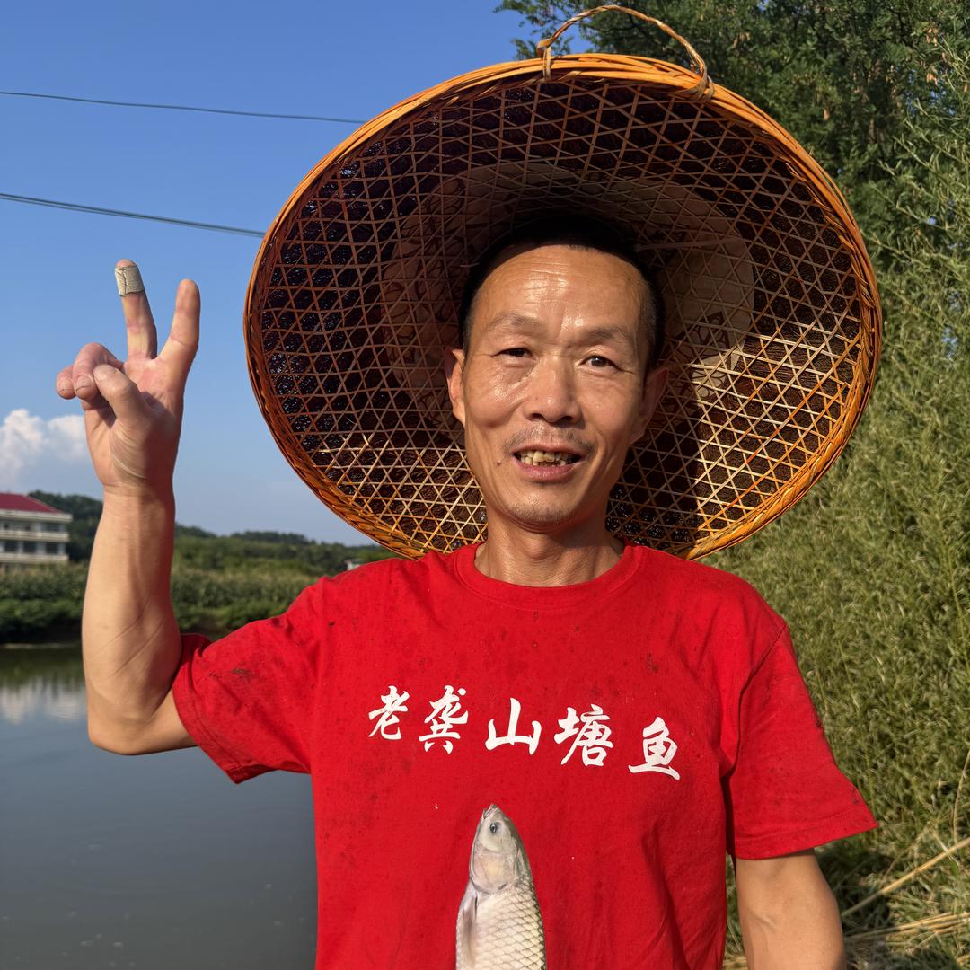 老龚山塘鱼