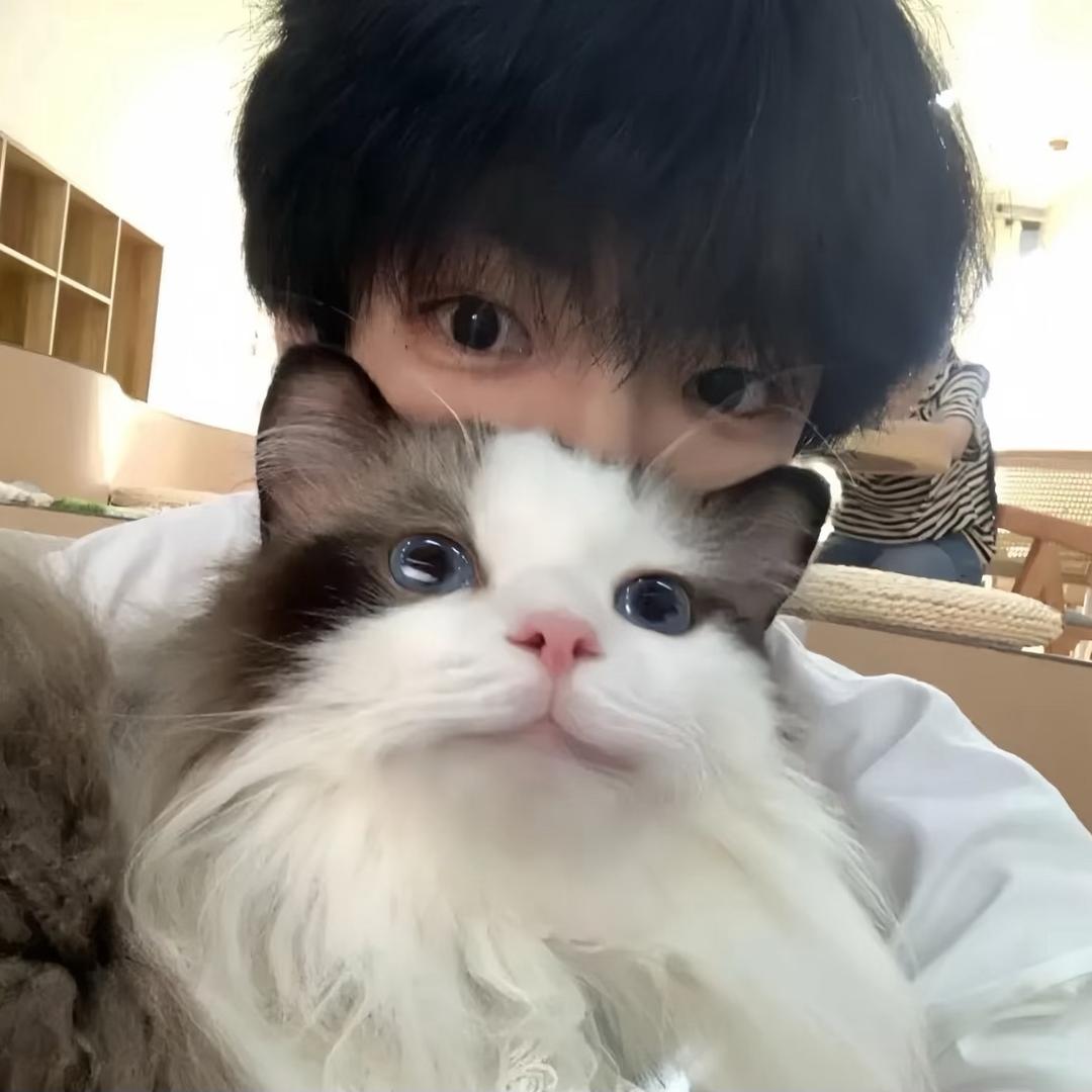 🧊