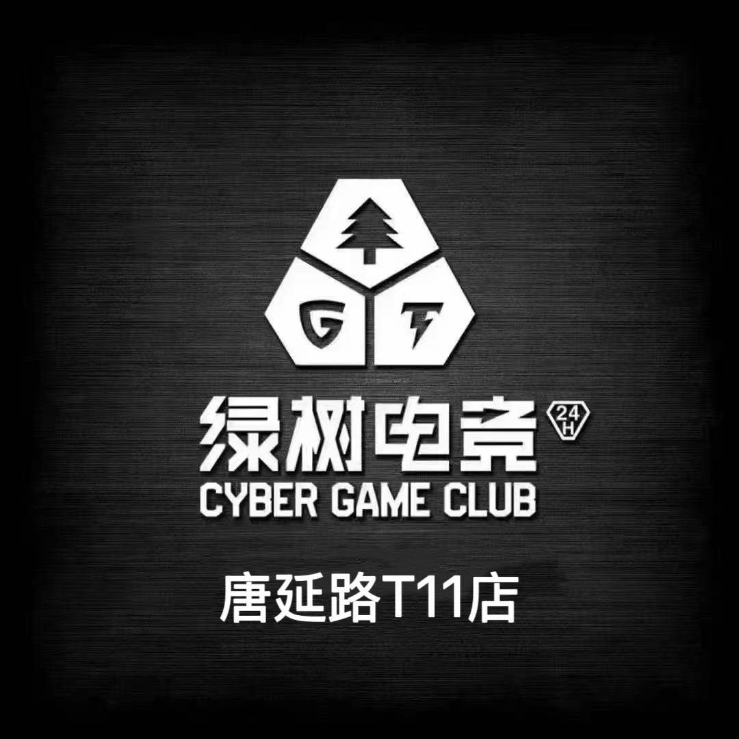 绿树电竞唐延路T11店