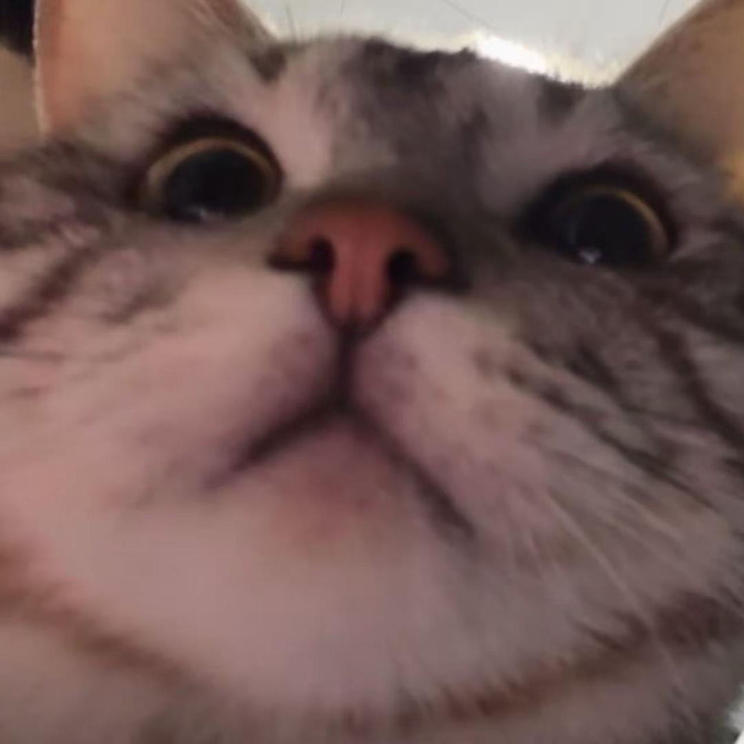 07.