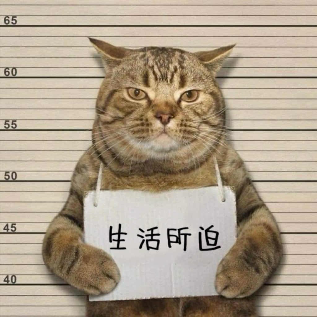 热心市民小杨🫡