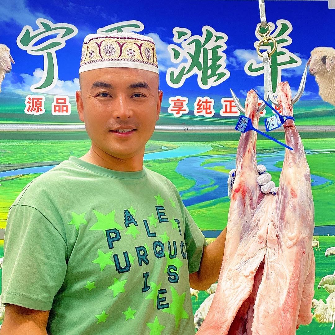 宁夏滩羊小马哥