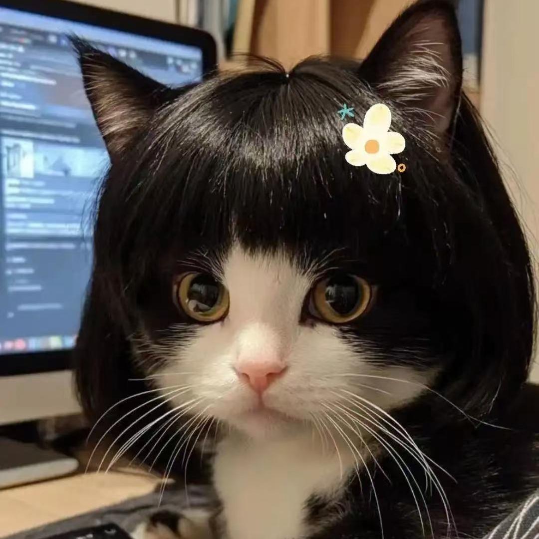 猫猫爱吃星星
