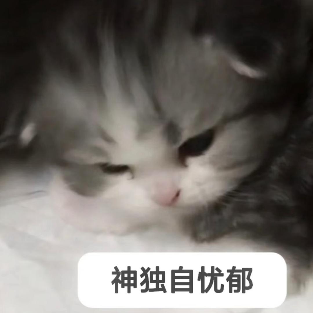 痴心绝对