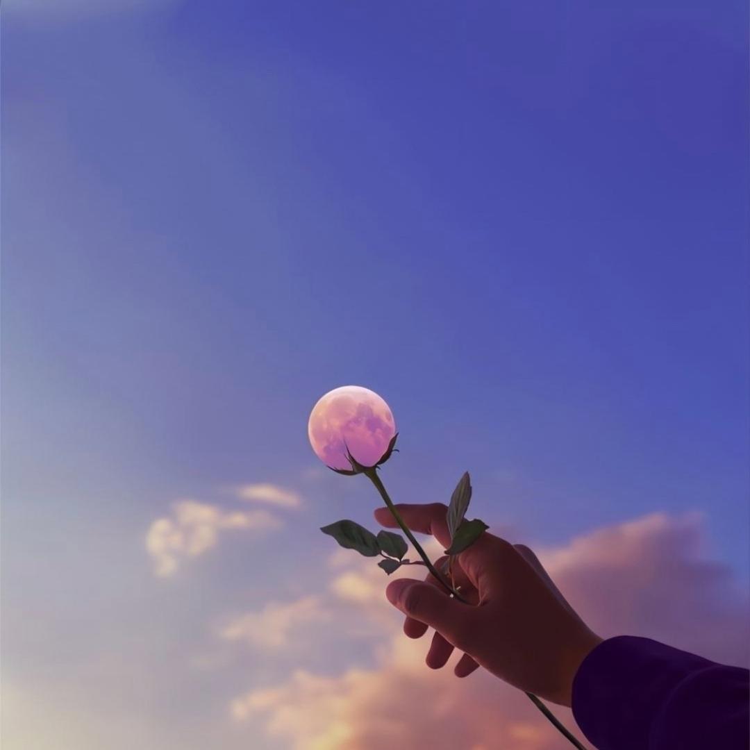 Peanut°