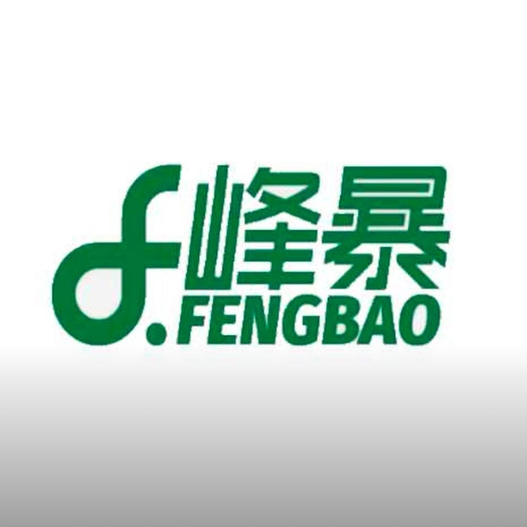 峰暴肉夹馍【全国招商】