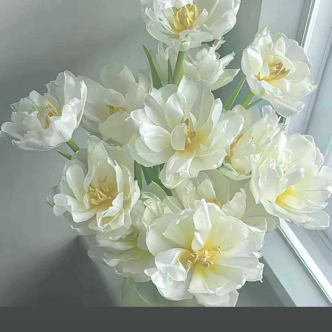 用户8579326895176
