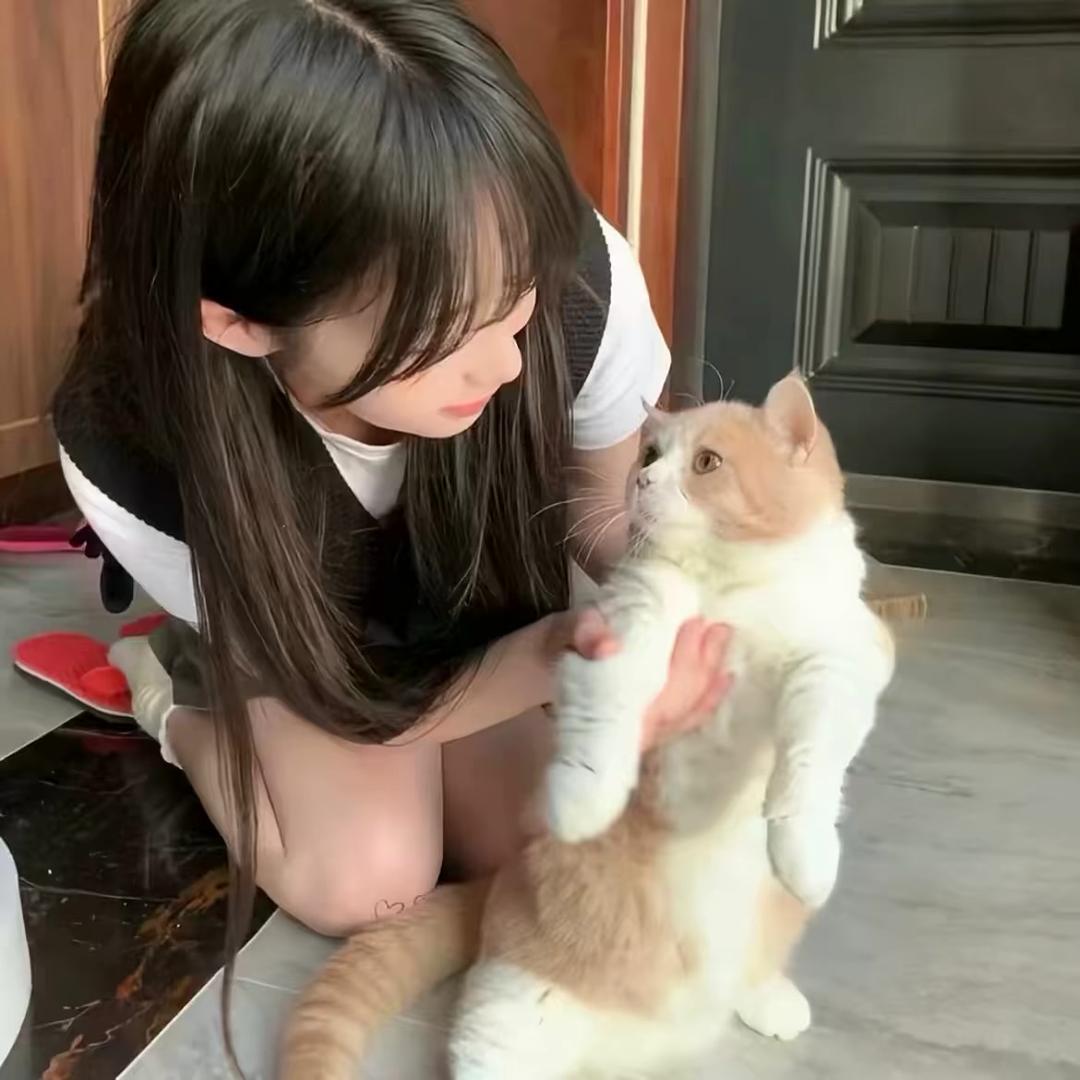 小酥鱼