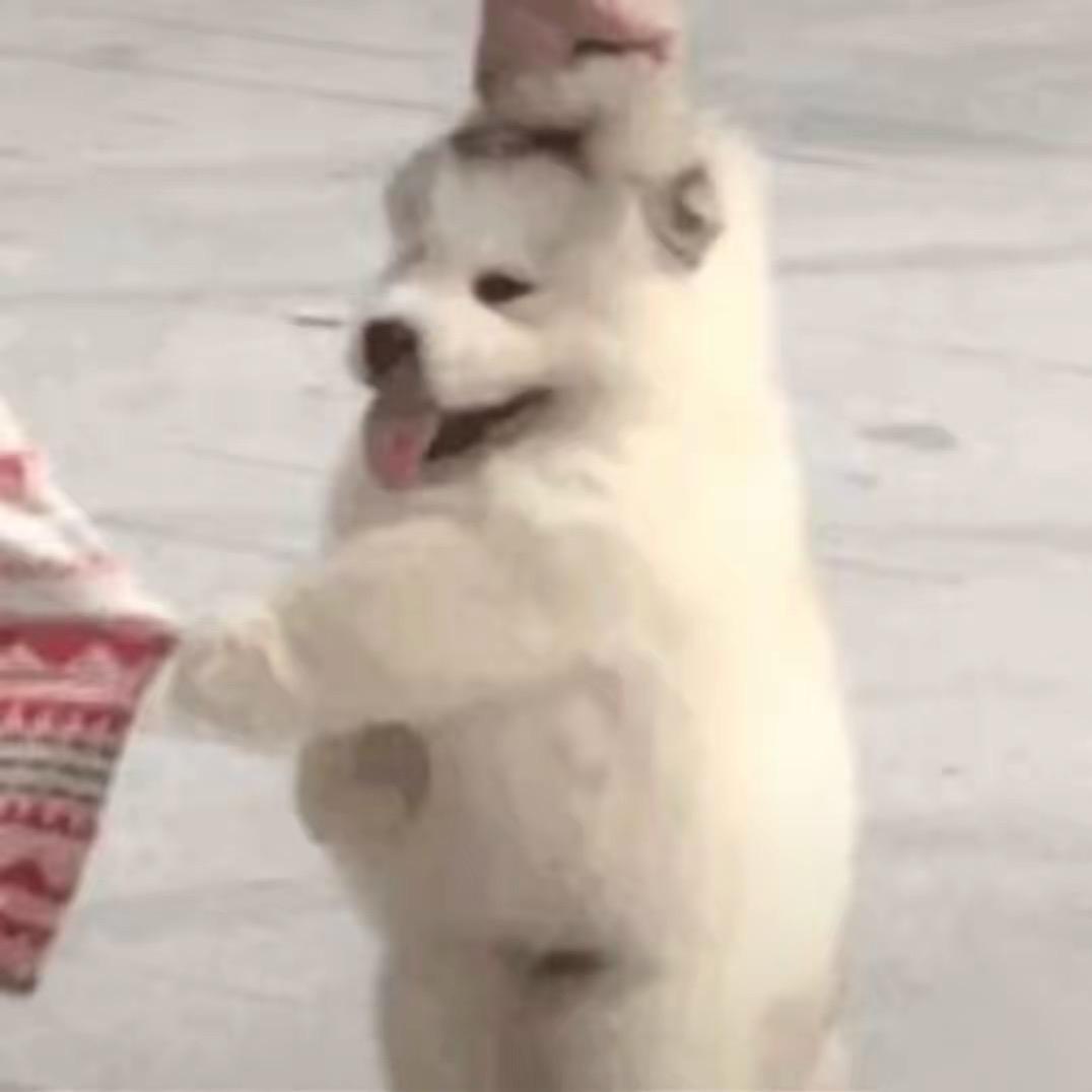 糊了的煎蛋