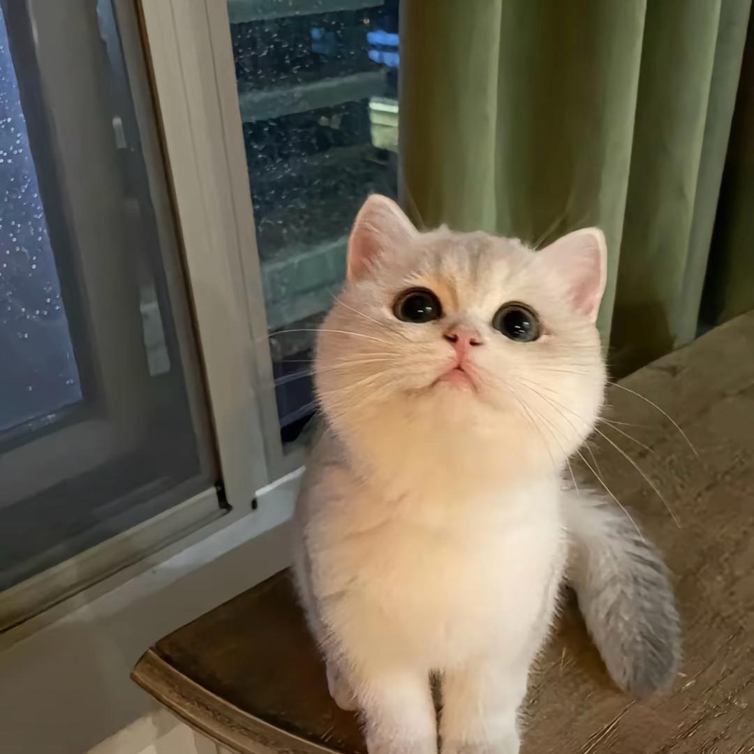 来财