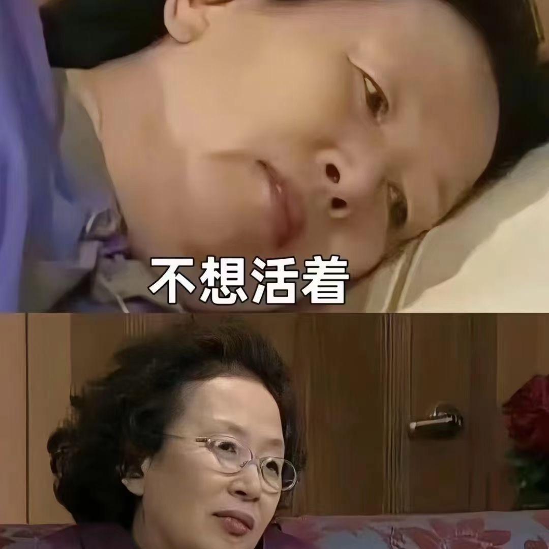 一颗白菜