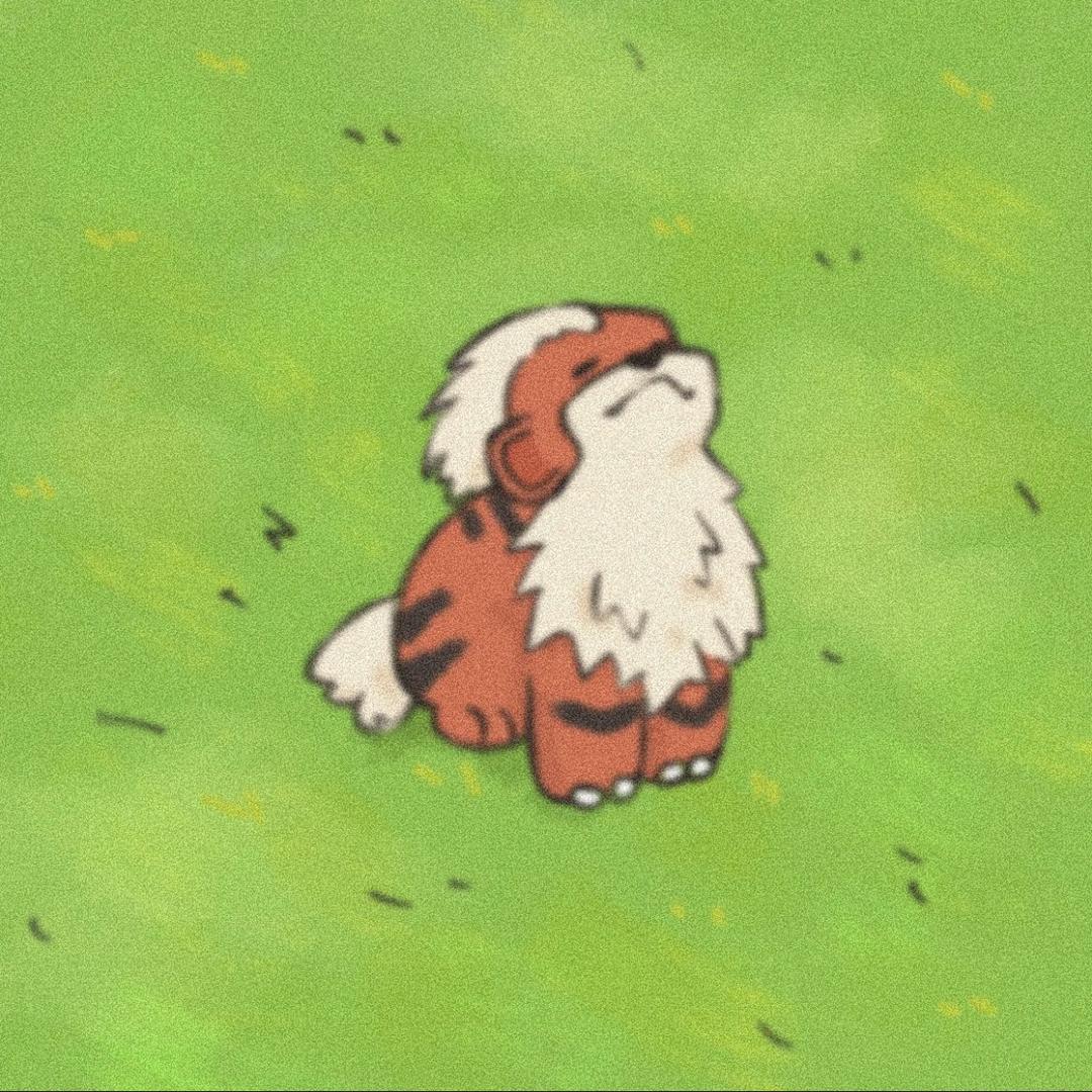 小包包了苞